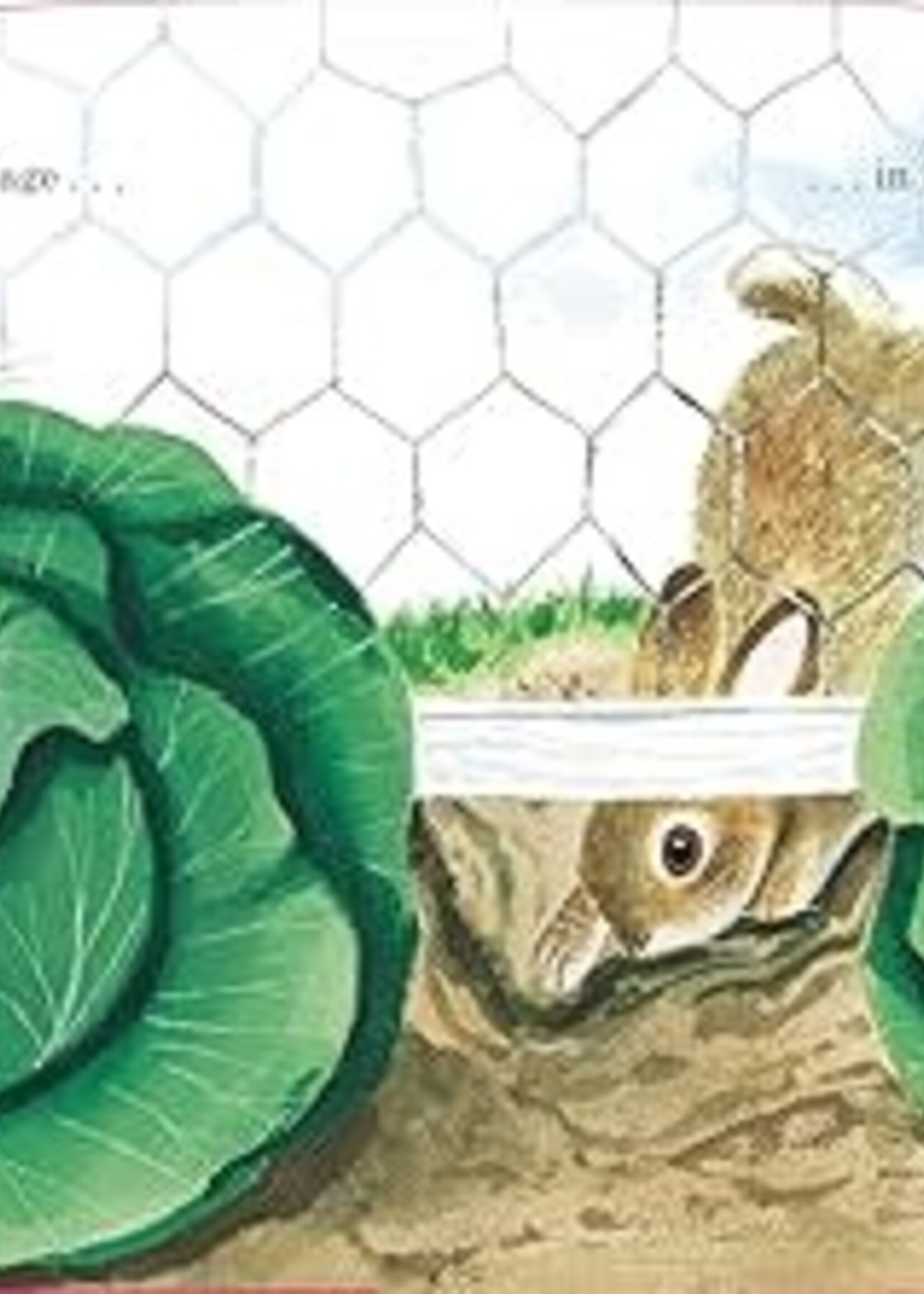 Books Richard Scarry's Bunnies: A Classic Board Book for Babies and Toddlers