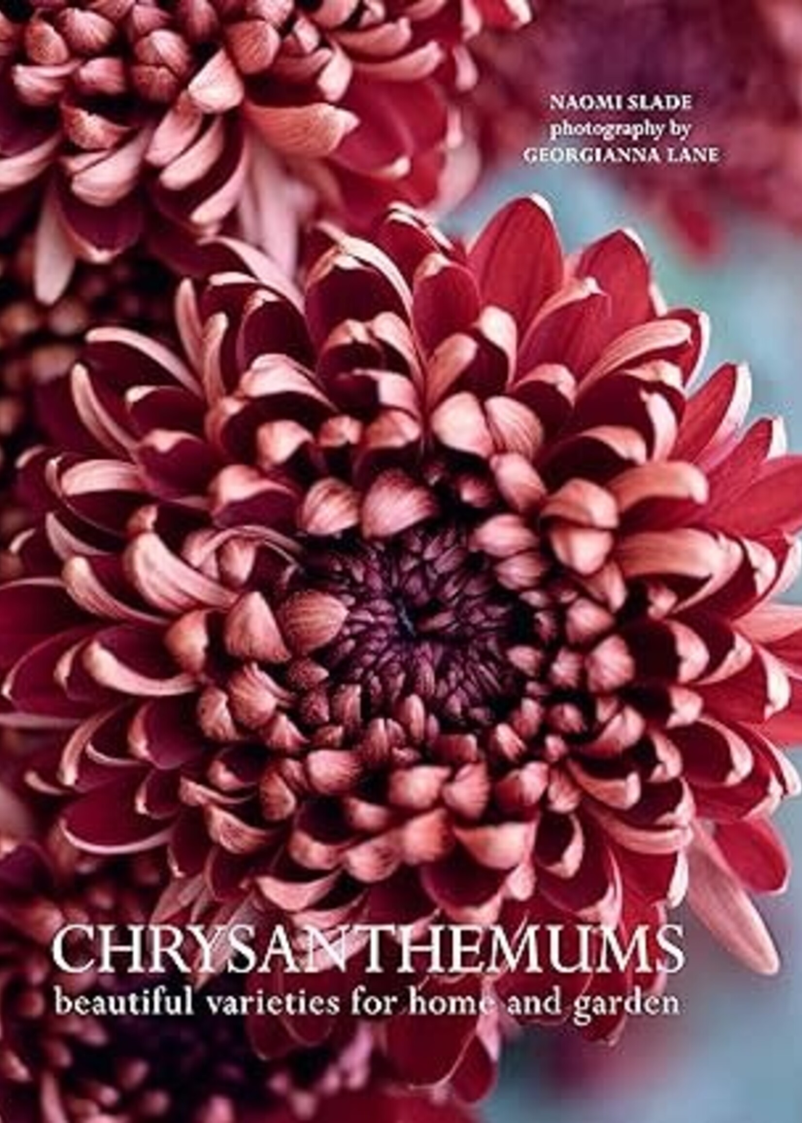 Books CHRYSANTHEMUMS