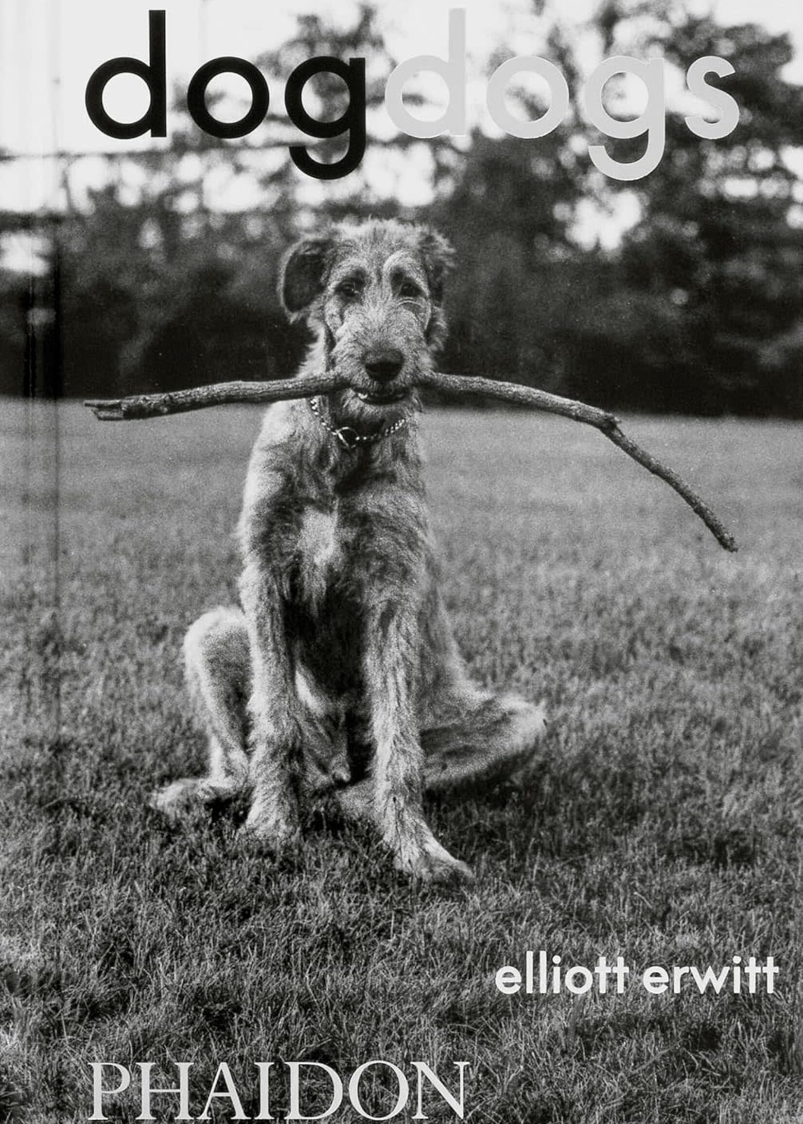 Books DogDogs