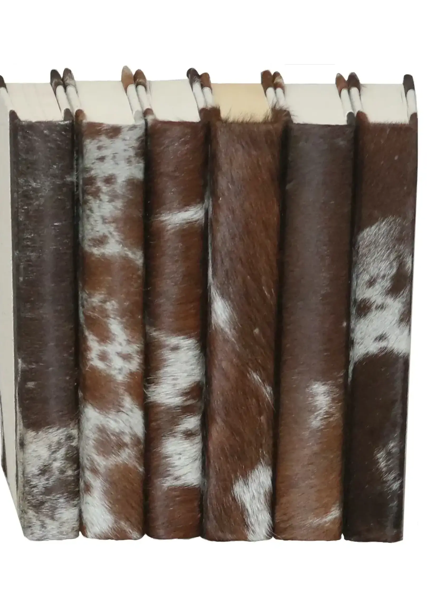 Vellum Home Brown & White Cow Hide Book 9.5"  | 6 ASST