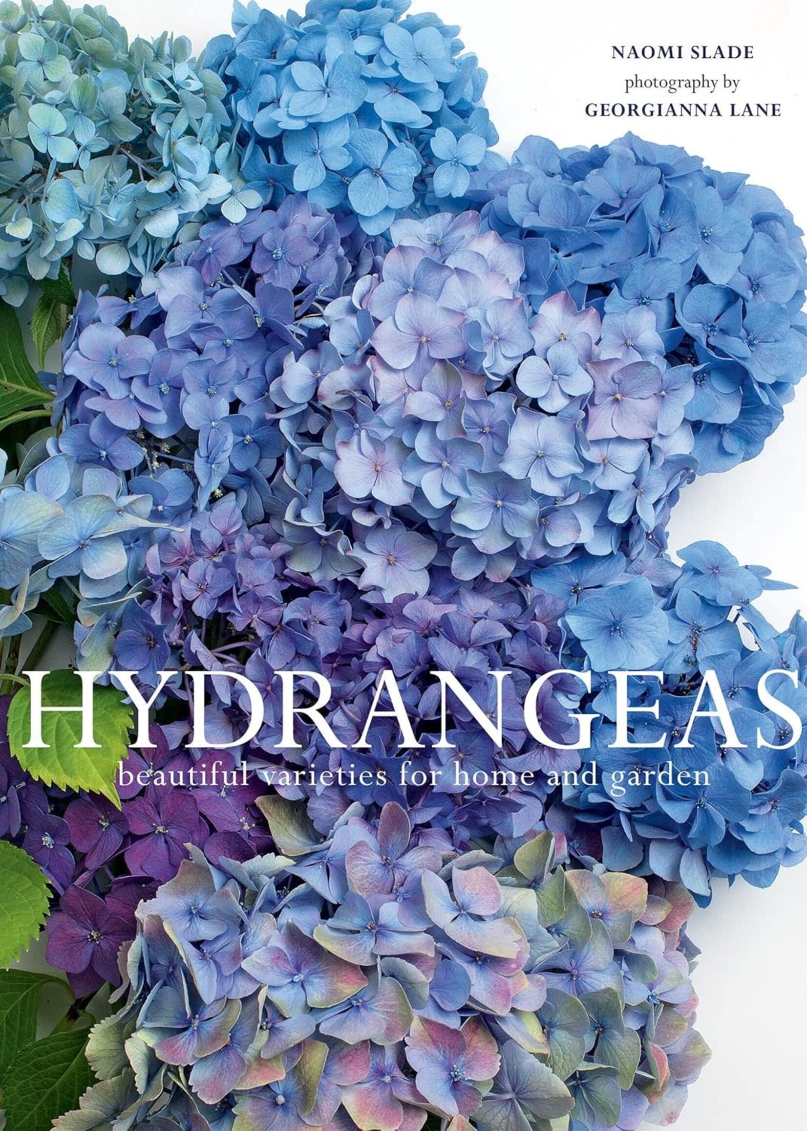Gibbs Smith Hydrangeas: Beautiful Varieties for Home and Garden
