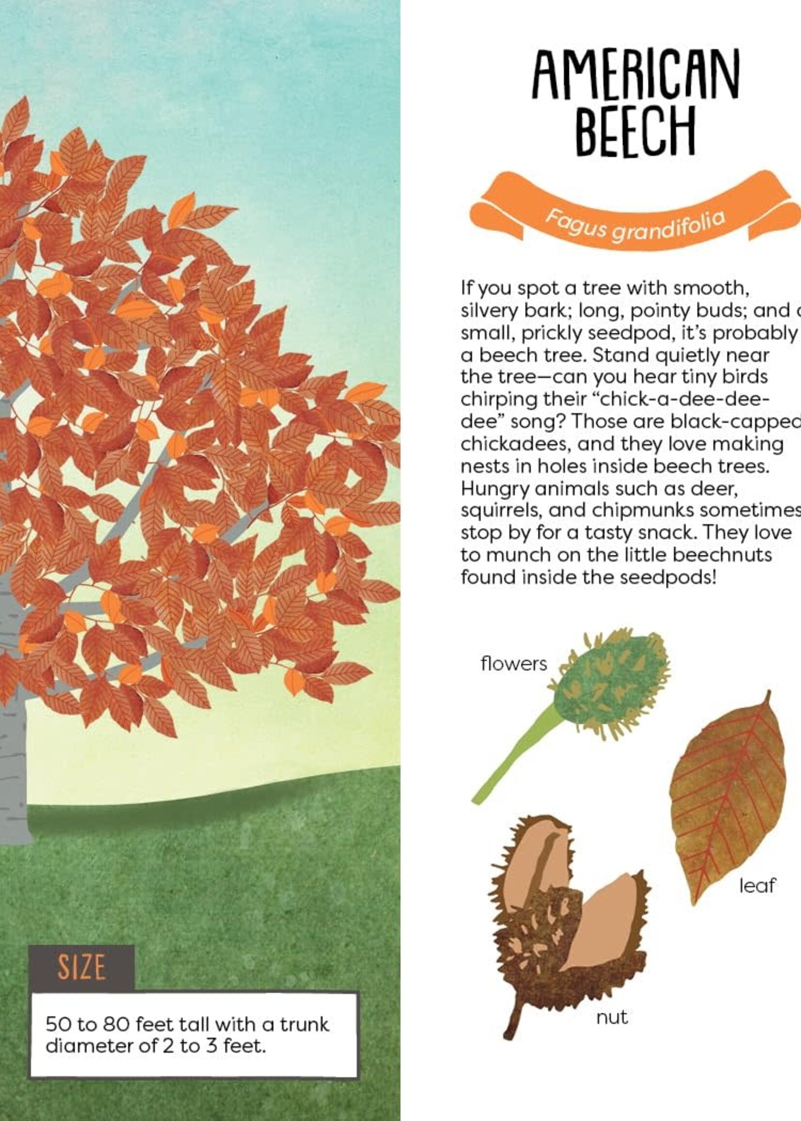 Ganz Kid’s Guide to Backyard Trees