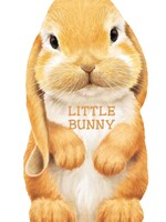 Little Bunny