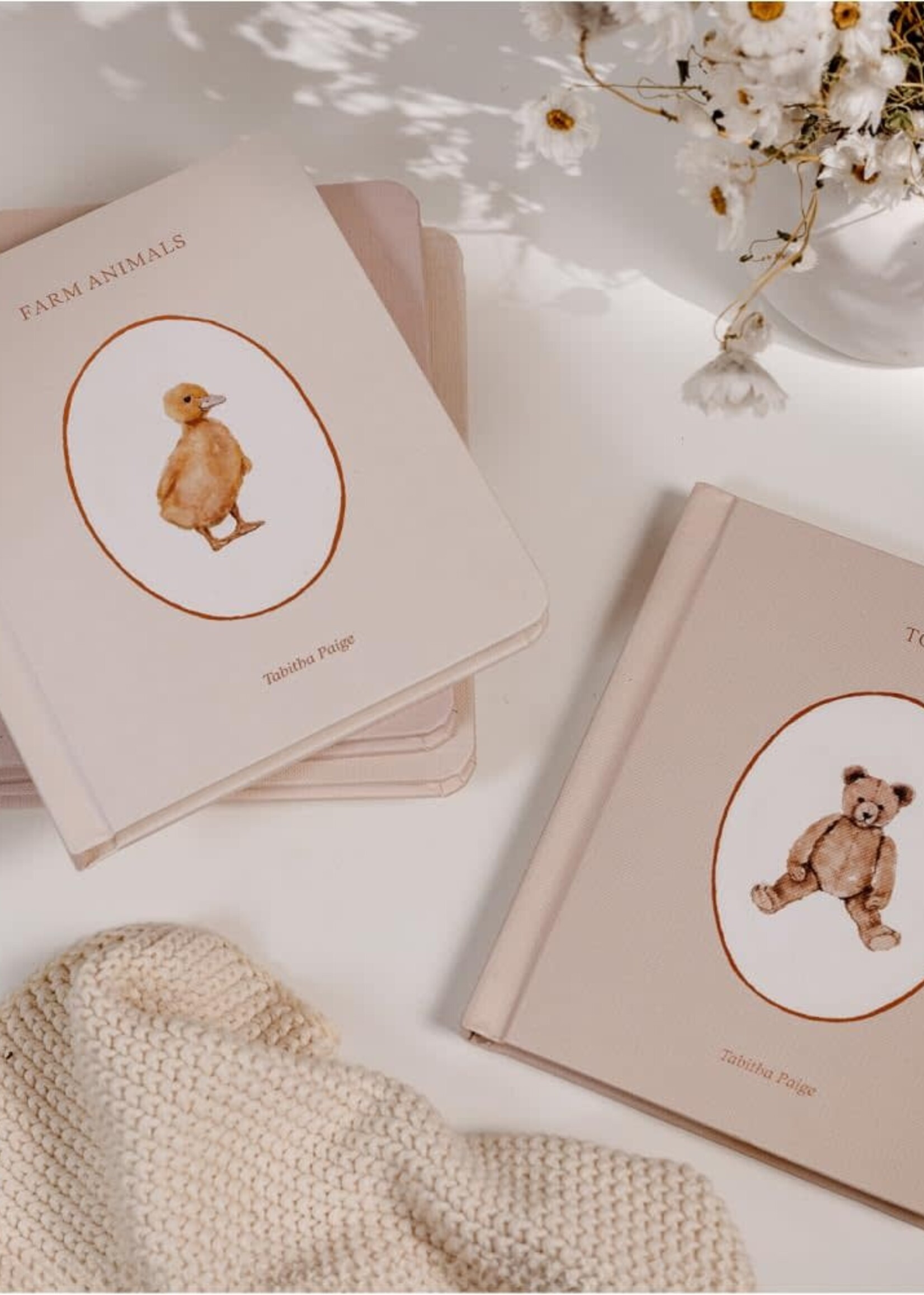 Books Our Little Library