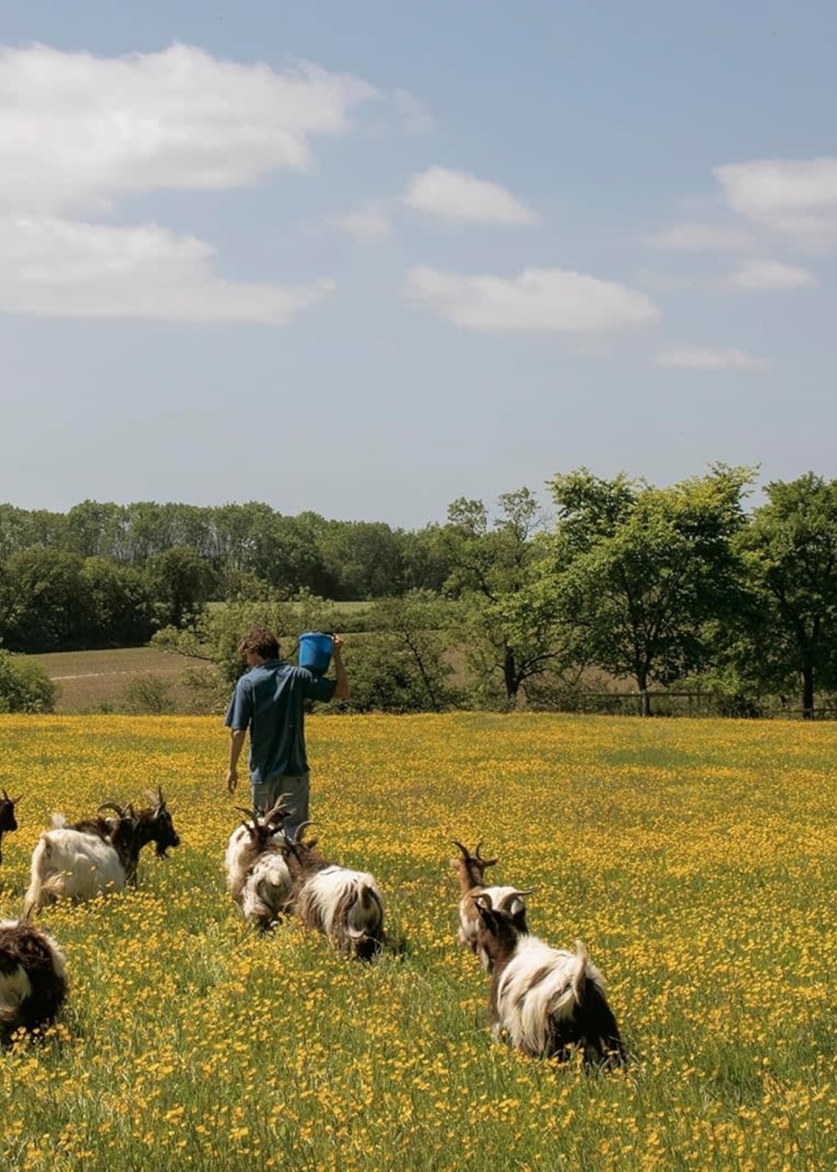 Penguin Random House Penguin Random House Julius Roberts The Farm table