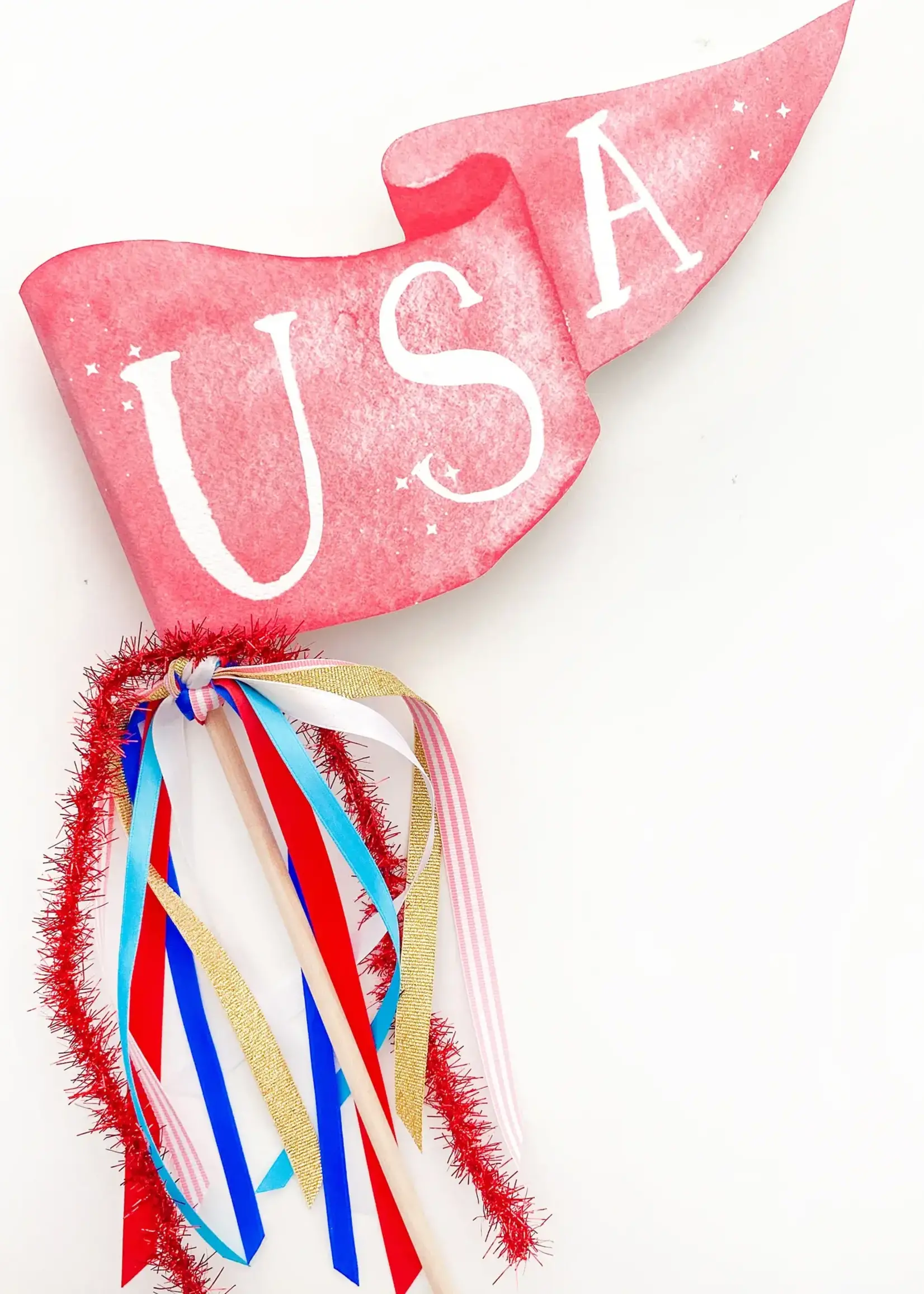 Cami Monet USA Party Pennant  PT017
