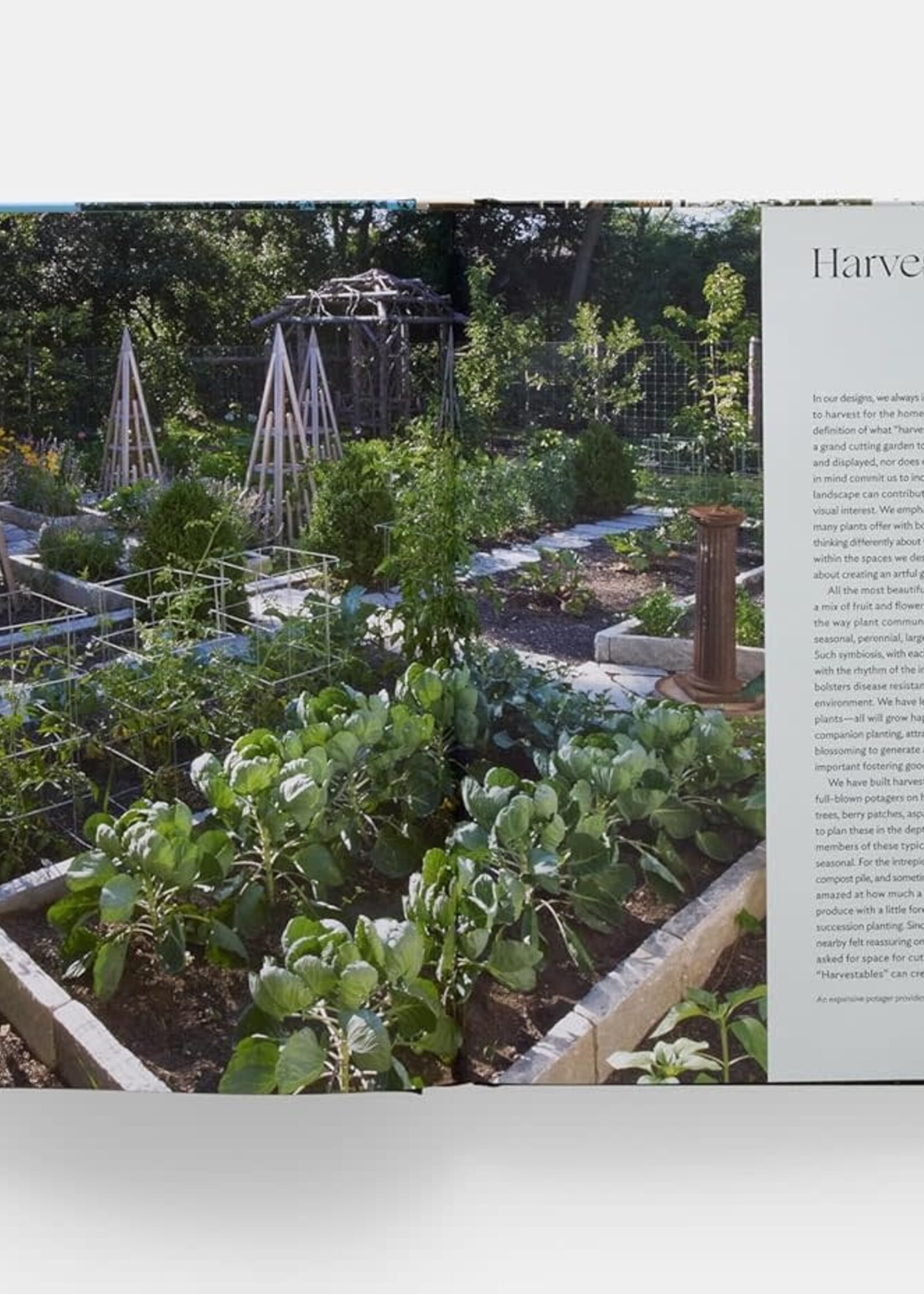 Books The Art Of Fine Gardening
