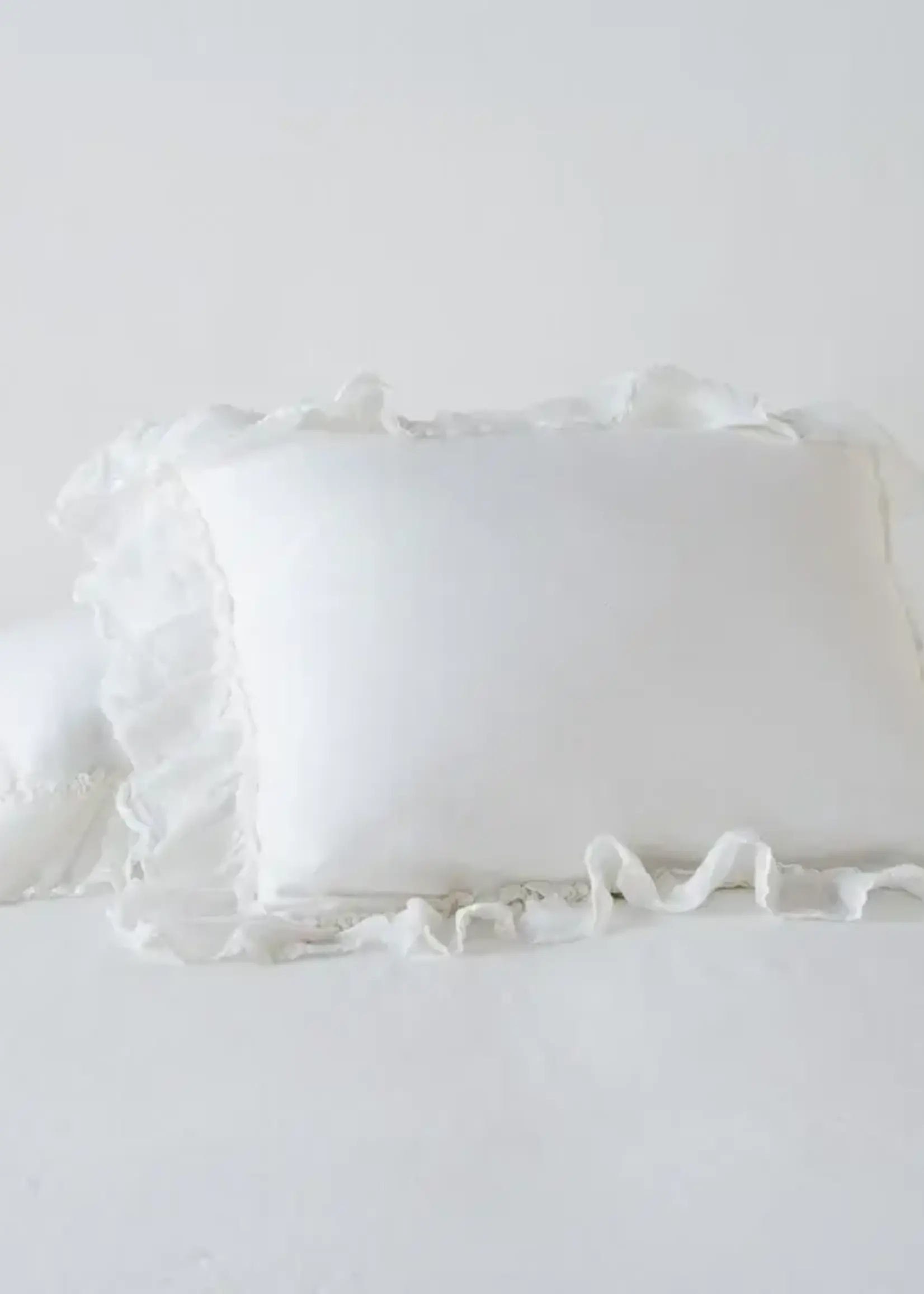 Bella Notte Bella Notte Linen Whisper Deluxe Sham Winter White