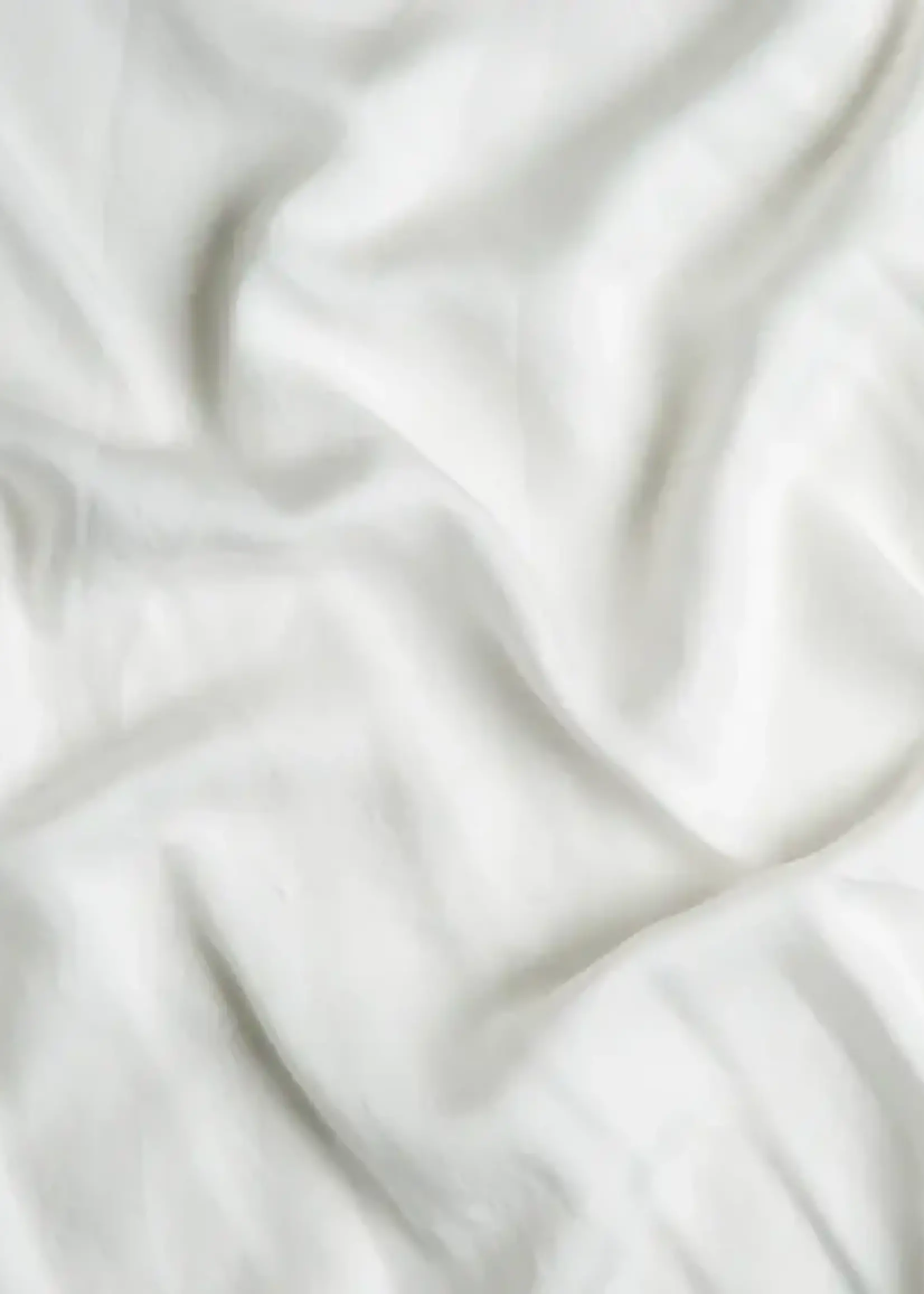 Bella Notte Bella Notte Madera Luxe Standard Pillowcase Winter White