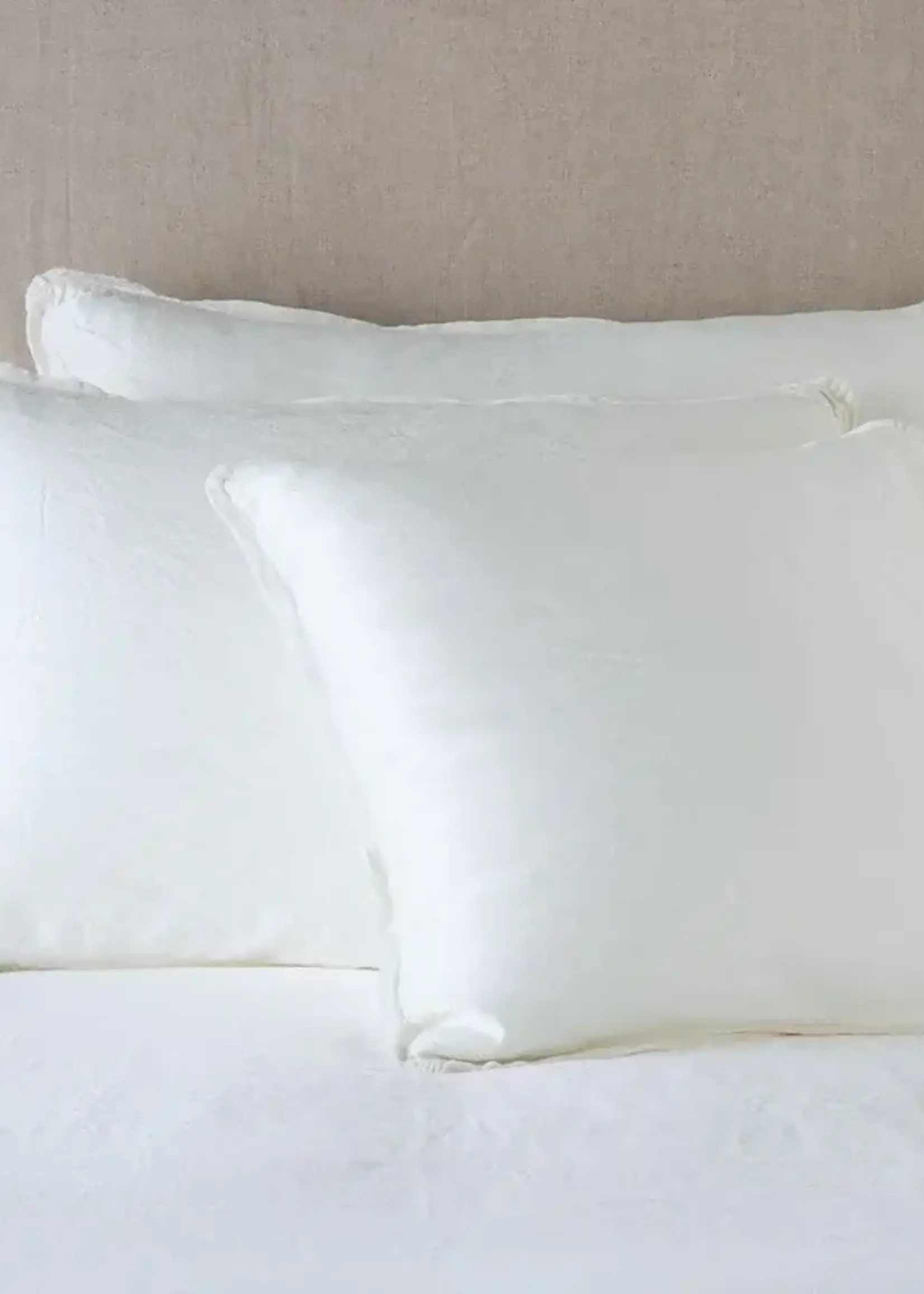 Bella Notte Bella Notte Paloma Deluxe Sham Winter White