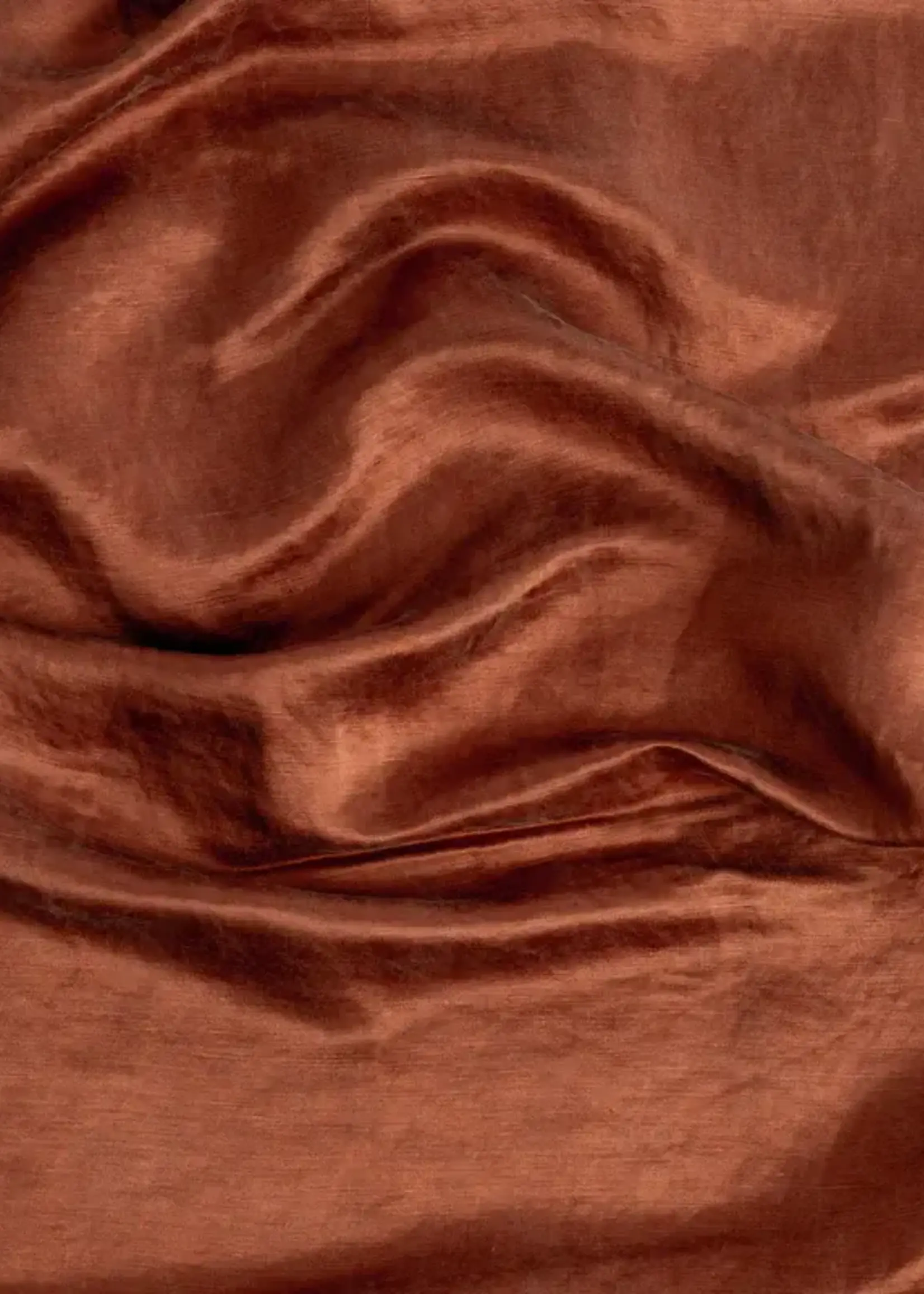 Bella Notte Bella Notte Paloma Euro Sham Autumn