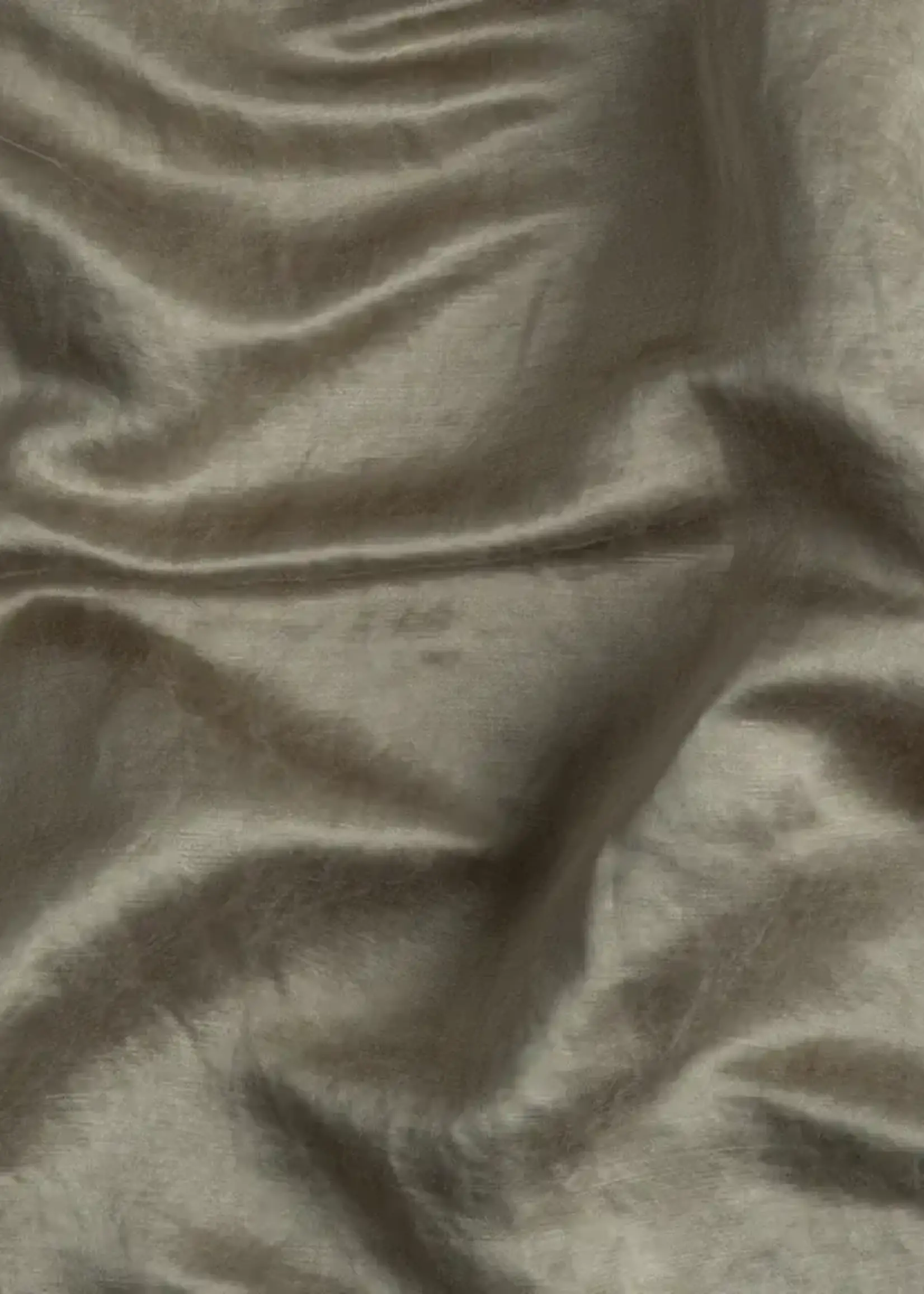 Bella Notte Bella Notte Paloma Euro Sham Moonlight