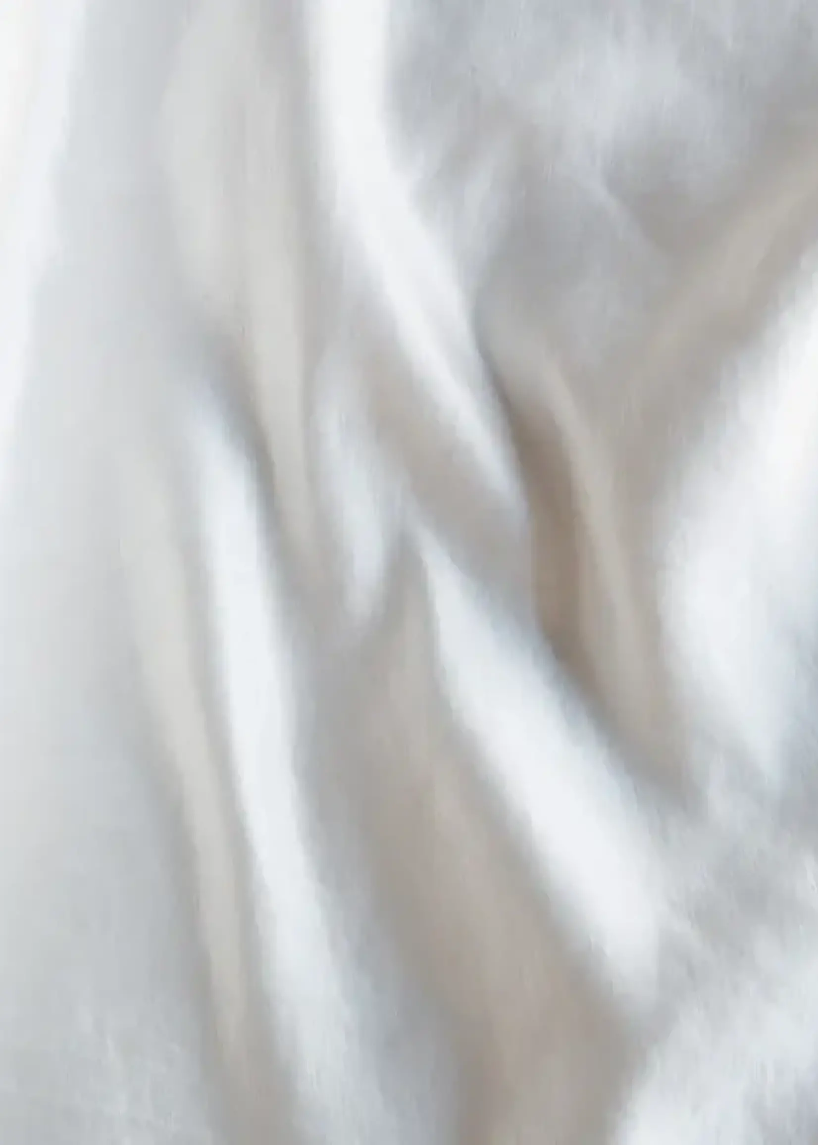 Bella Notte Bella Notte Paloma Euro Sham Winter White