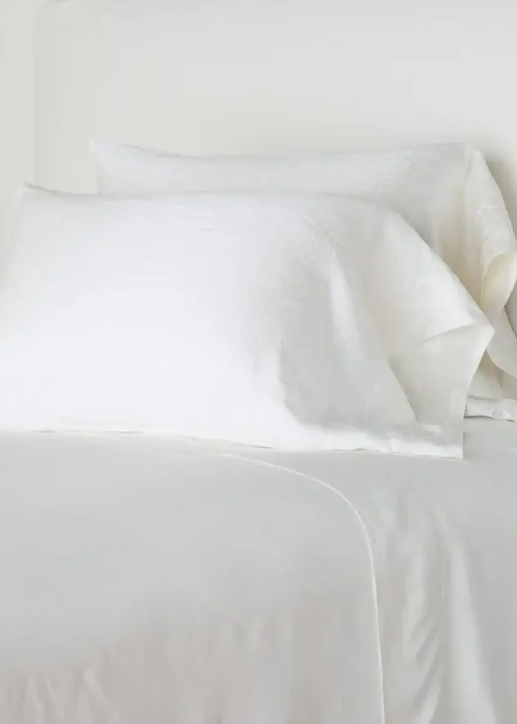 Bella Notte Bella Notte Paloma King Pillowcase Winter White