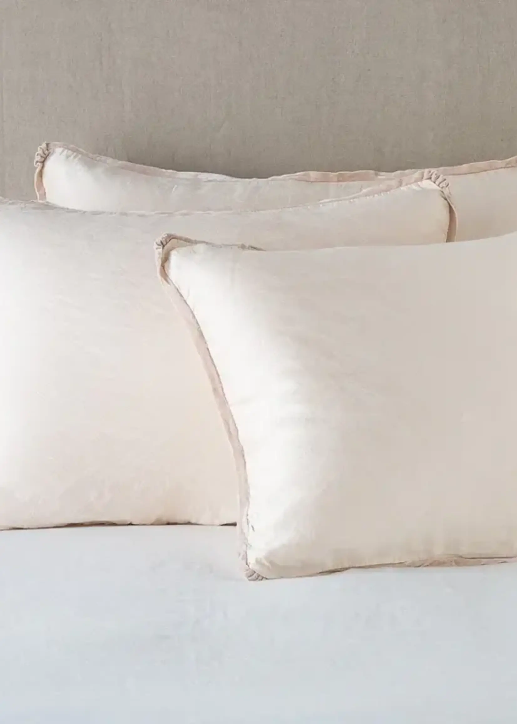 Bella Notte Bella Notte Paloma Sham Deluxe Pearl