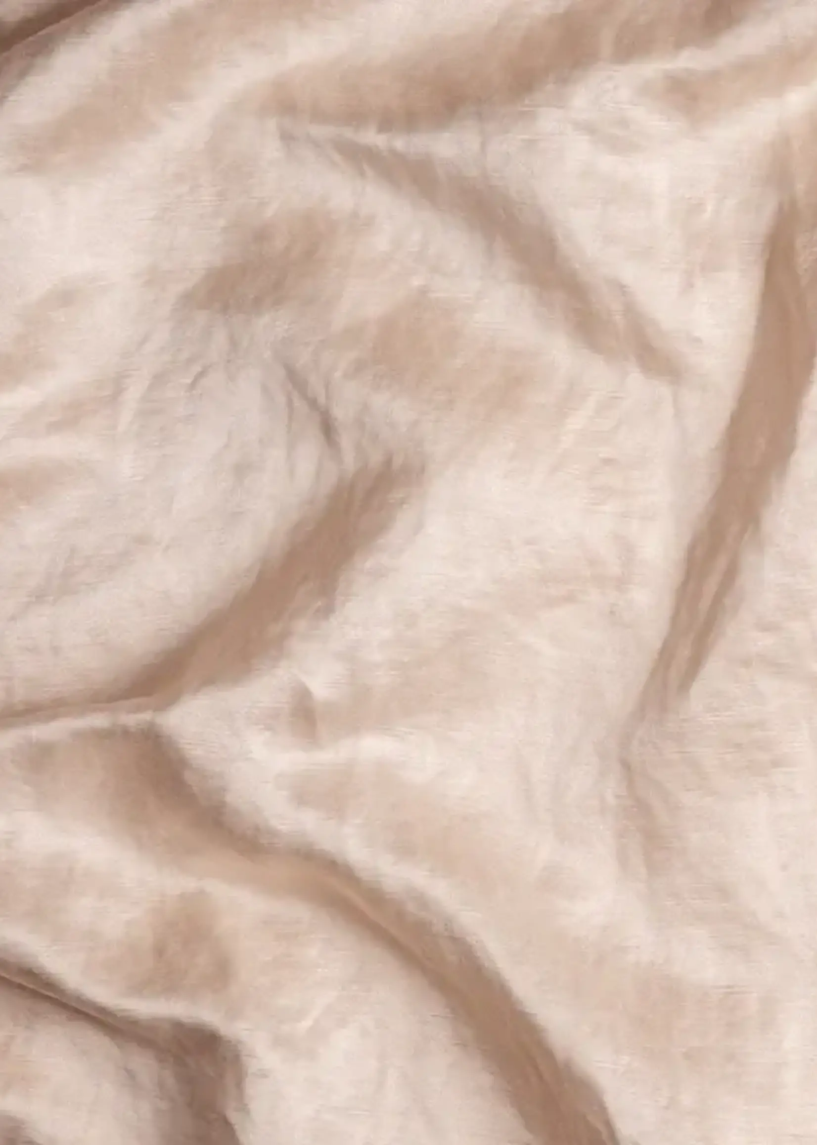 Bella Notte Bella Notte Paloma Sham Deluxe Pearl