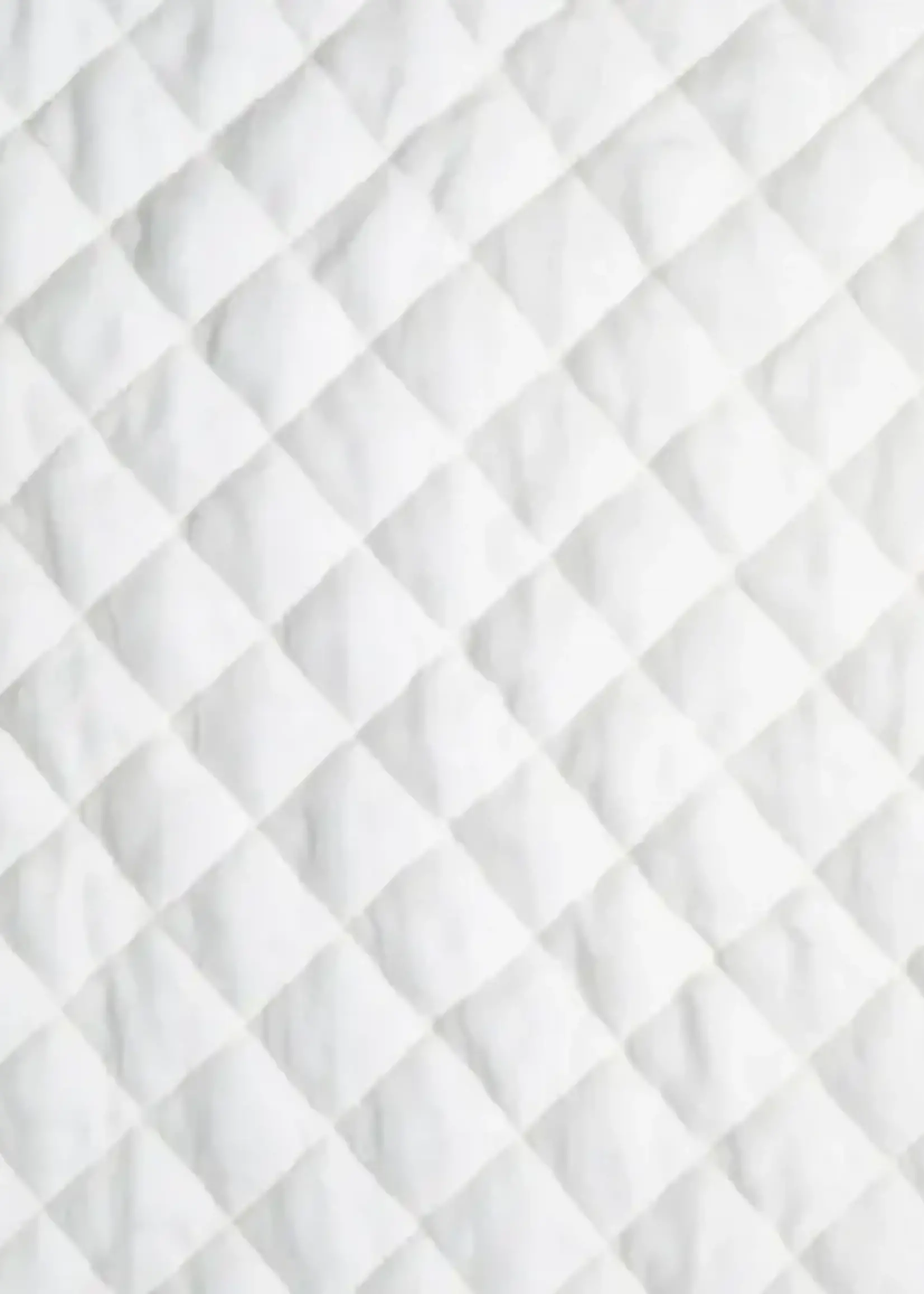 Bella Notte Bella Notte Queen Silk Velvet Quilted Coverlet Winter White