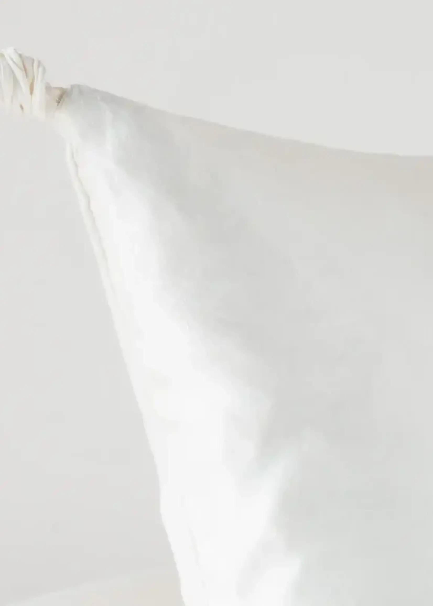 Bella Notte Bella Notte Taline Euro Sham Winter White