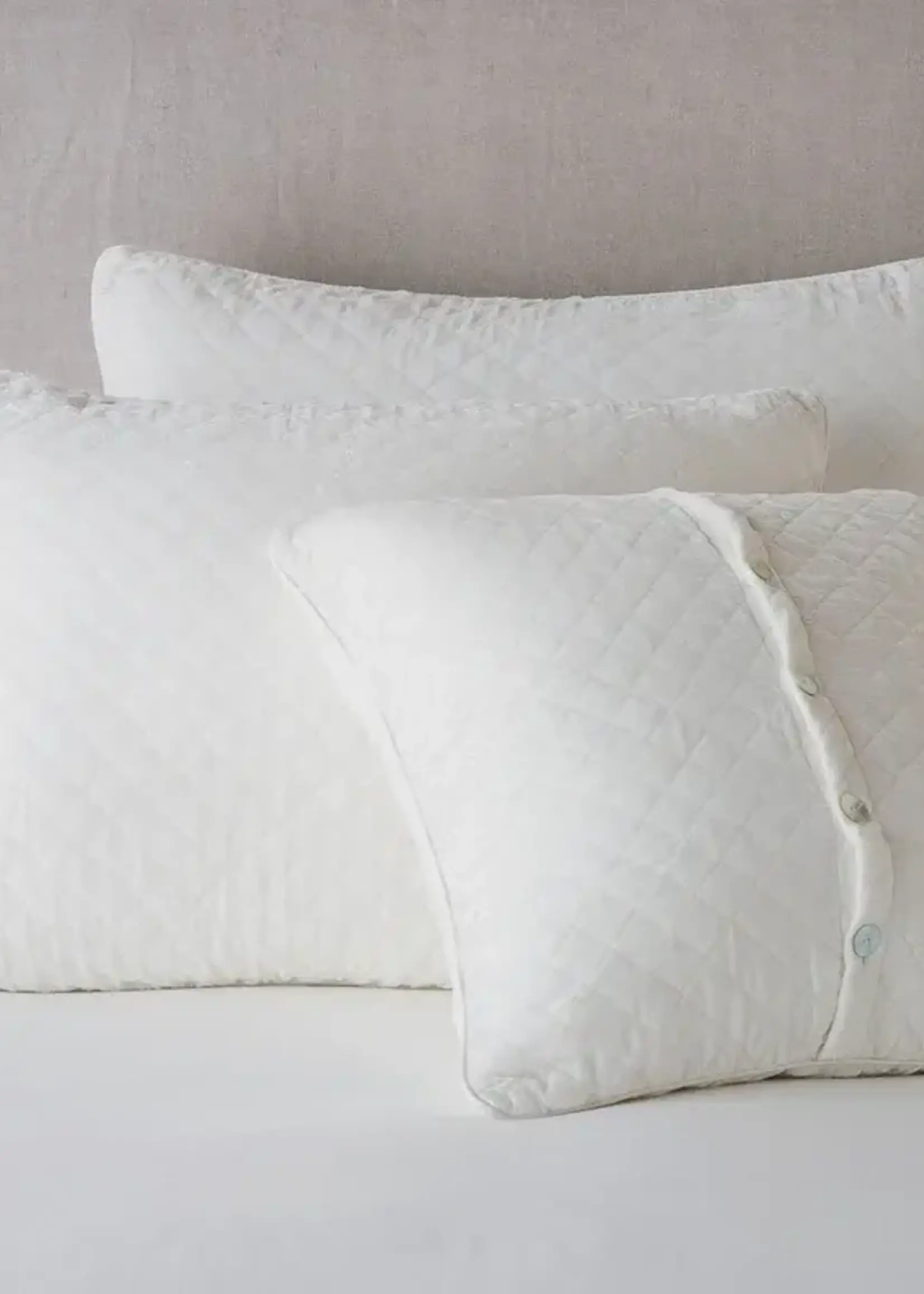 Bella Notte Bella Notte Silk Velvet Quilted Euro Sham Winter White