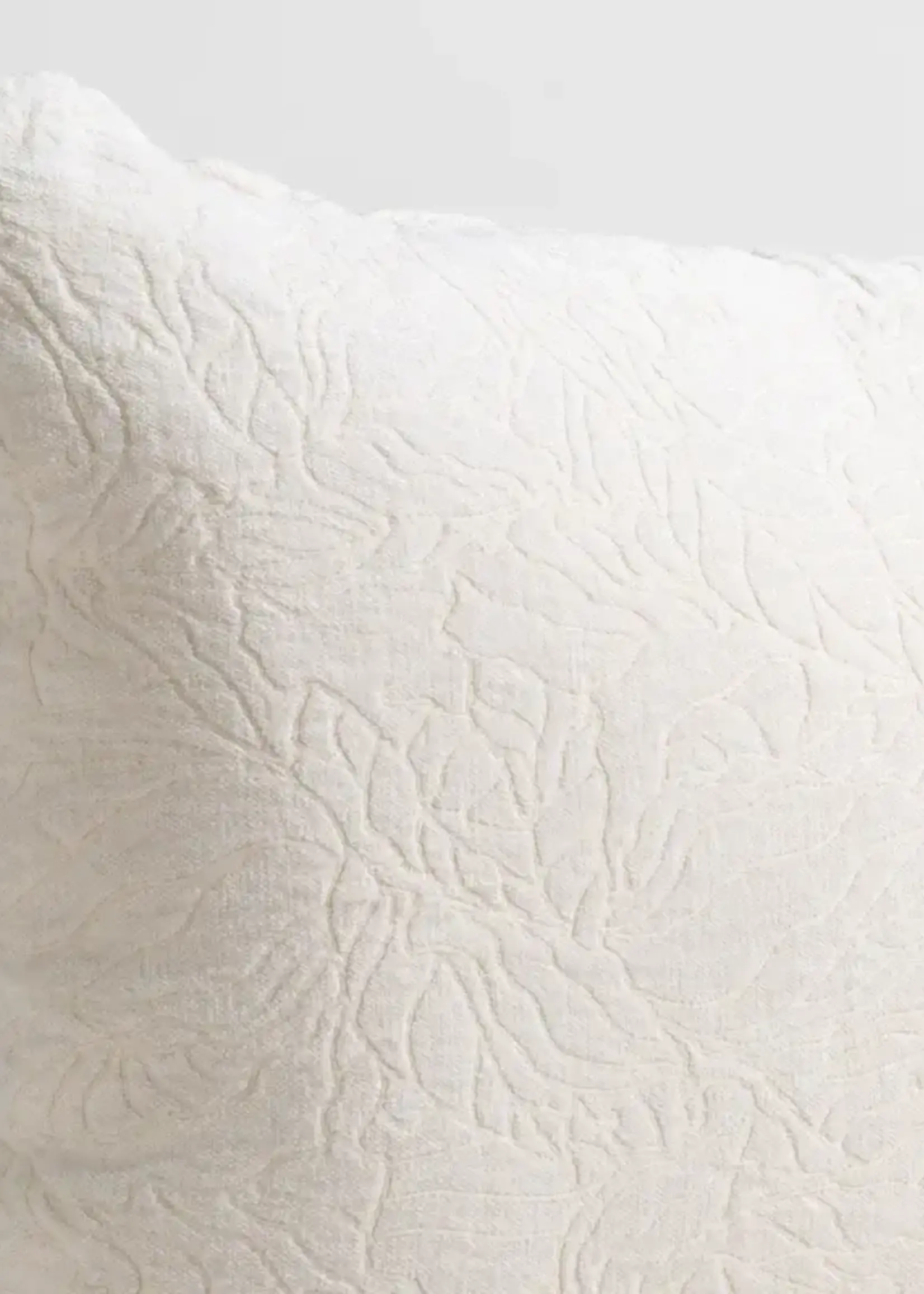 Bella Notte Georgia Deluxe Sham, WINTER  WHITE