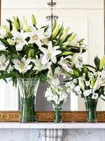 Juliska Juliska Ella Collection – 9" Corset Vase