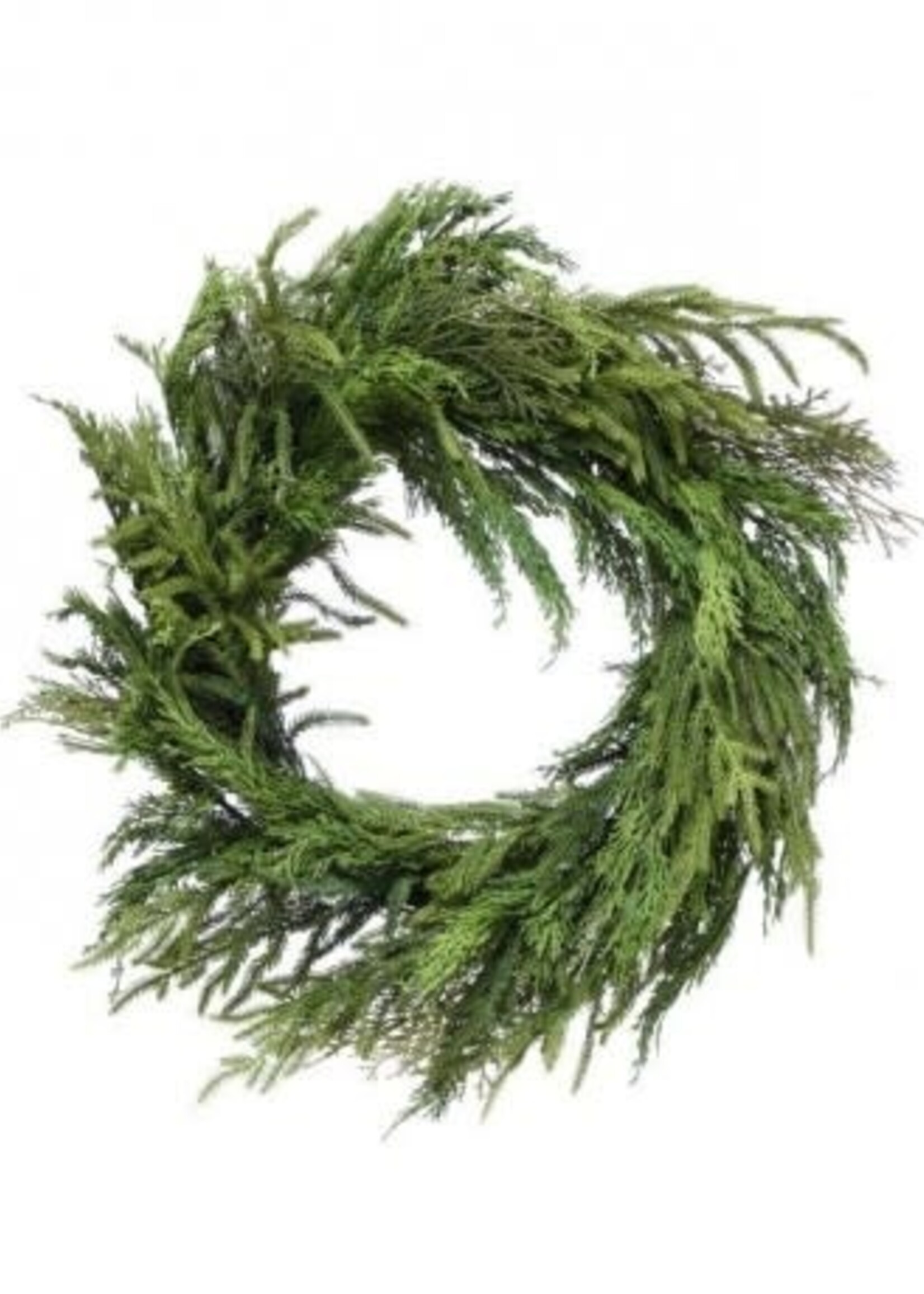 Regency Regency - 26" CYPRUS/ NORFOLK PINE WREATH-NAGR - MTX70613