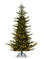 RAZ Imports T4409565	DC 9' Norwegian Spruce with Brilliant LED Lights 9X68''