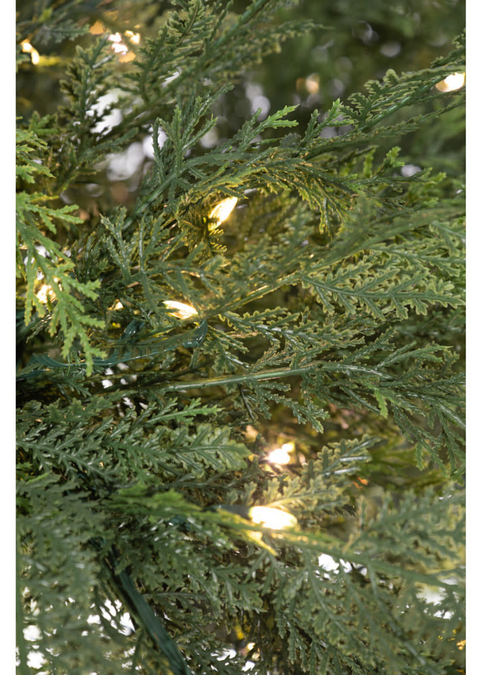 Direct Export 7"X36"X1" ATLAS CEDAR PORCH 262926