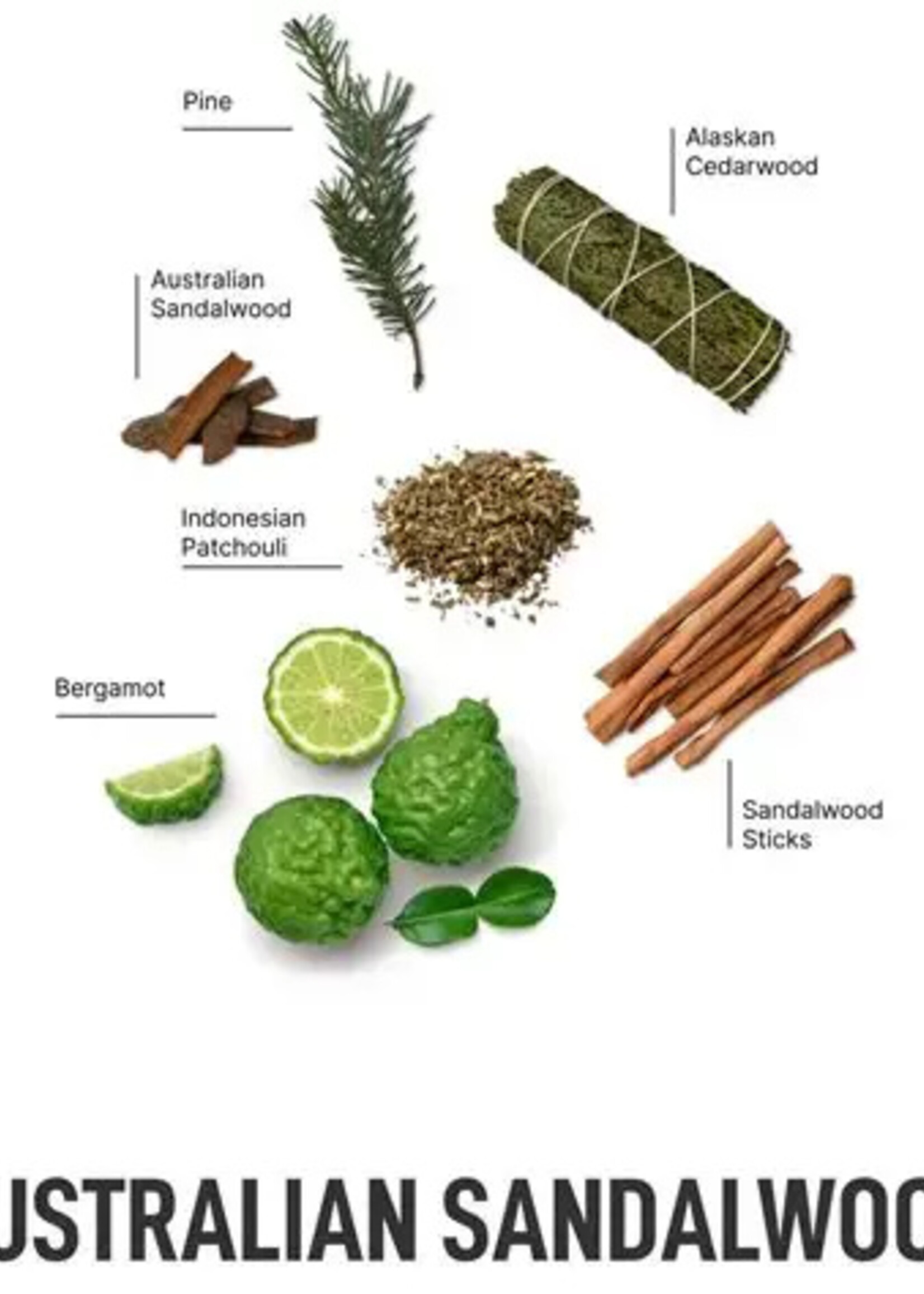 Laundry Sauce Australian Sandalwood 30 ct Laundry Pods