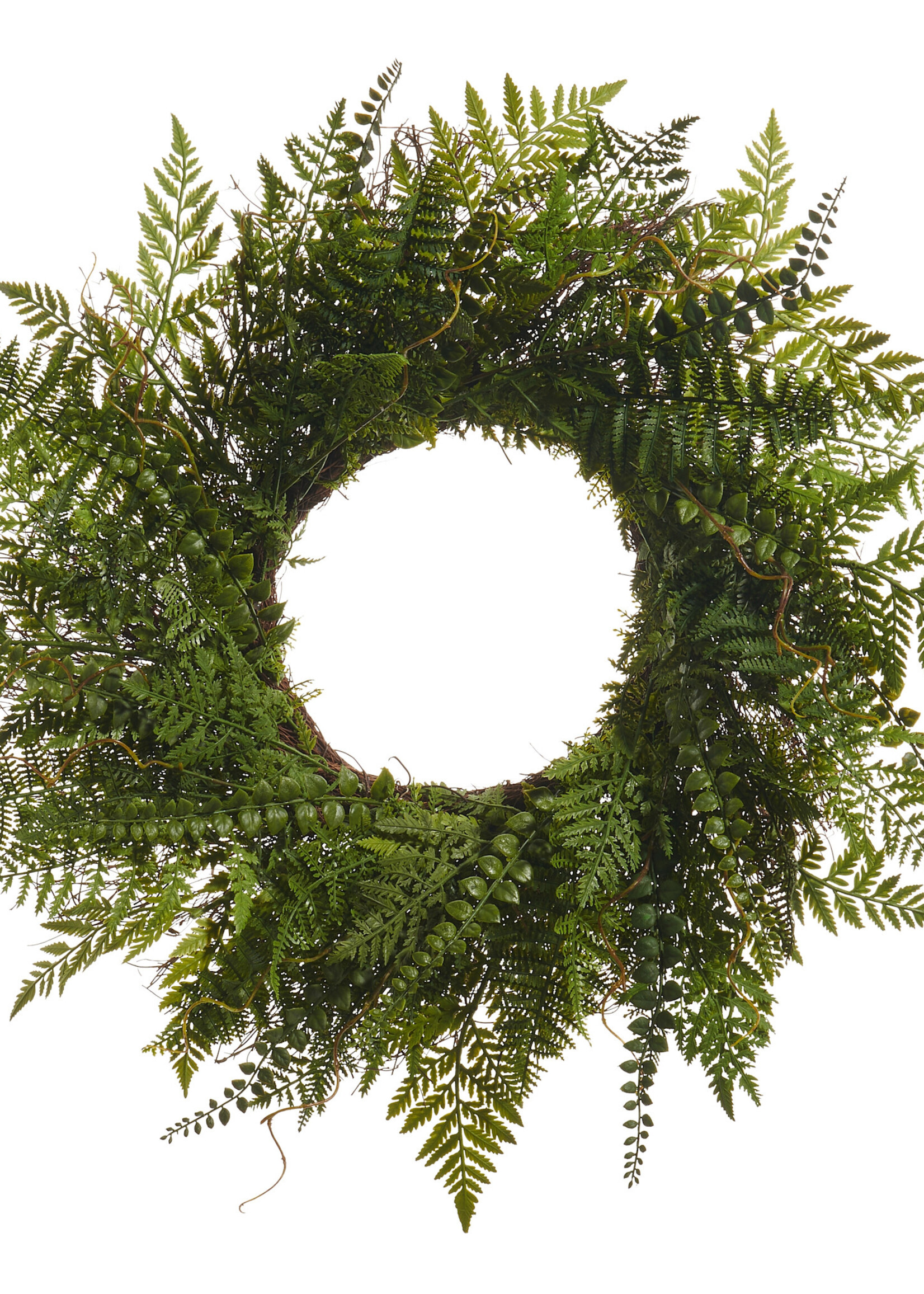 RAZ Imports RAZ Imports - 24" Fern Wreath - W4624599