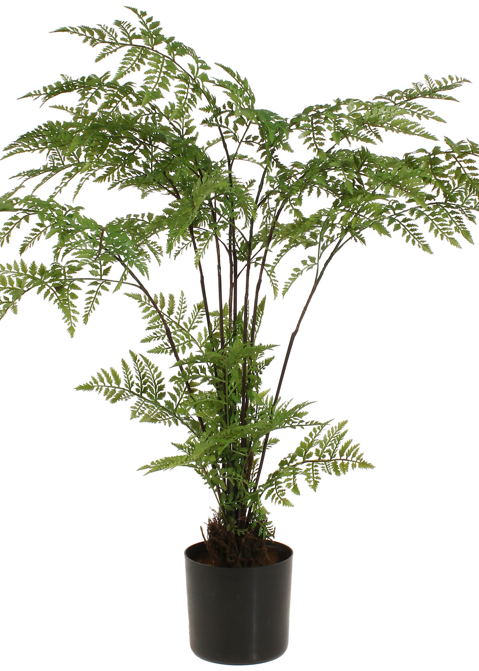 RAZ Imports RAZ Imports - 26" Potted Fern - 3802170