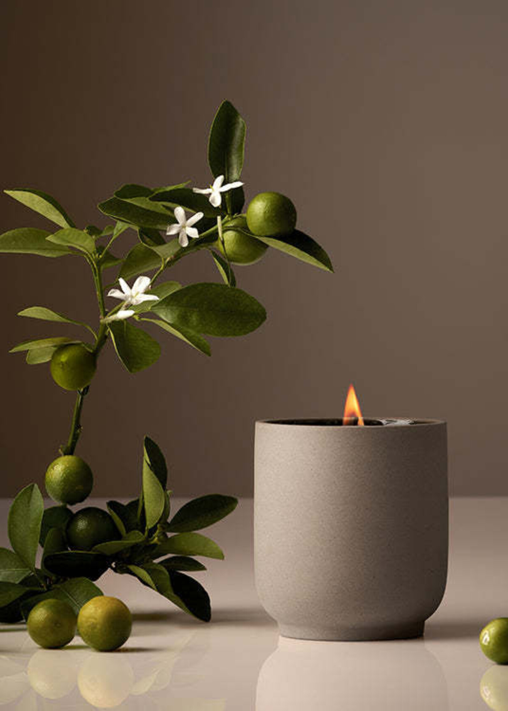 Homecourt Signature Candle |  Neroli Leaf - #CL095B019