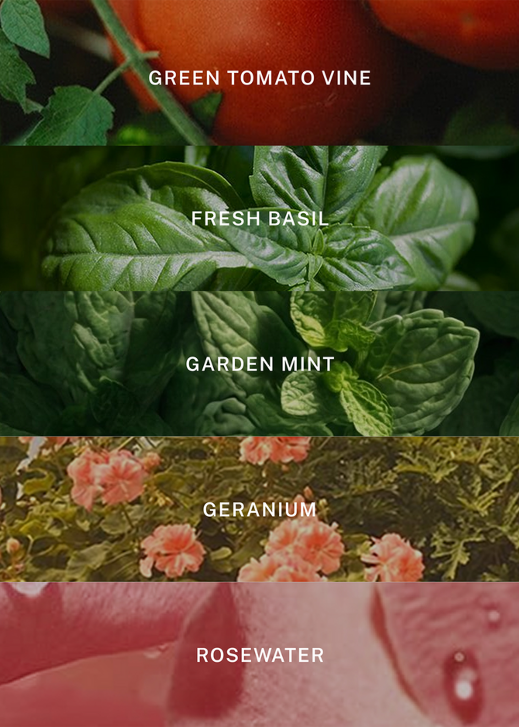 Hotel Lobby Candle Candle and Diffuser Hamptons Gift Set  10011013