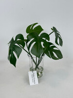 handcrafted floral Monstera Leaf Arrangement in Glass Vase
