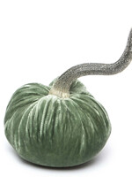 Hot Skwash Sage 3” Velvet Pumpkin