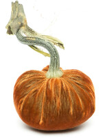 Hot Skwash Sandgreen 3” Velvet Pumpkin