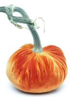 Hot Skwash Persimmon 3” Velvet Pumpkin