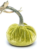 Hot Skwash Chartreuse 3” Velvet Pumpkin