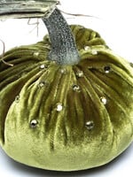 Hot Skwash 4” Cactus Crystal Velvet Pumpkin