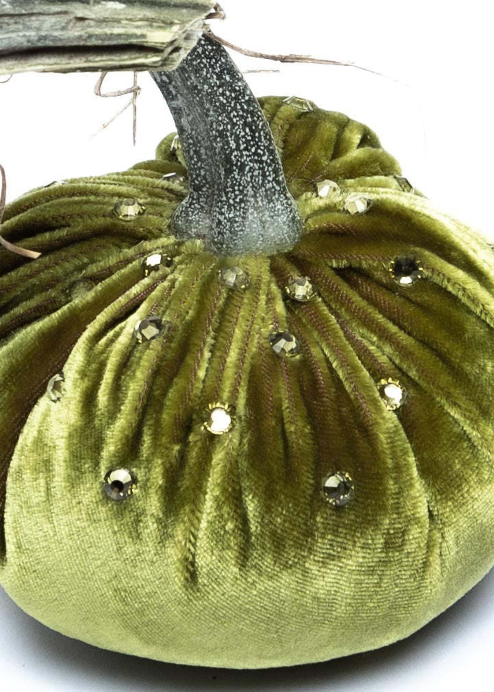 Hot Skwash 4” Cactus Crystal Velvet Pumpkin