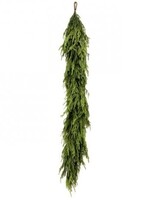 Regency Regency  - 72X16" NATURAL TOUCH NORFOLK PINE GARLAND-GRN - MTX73277