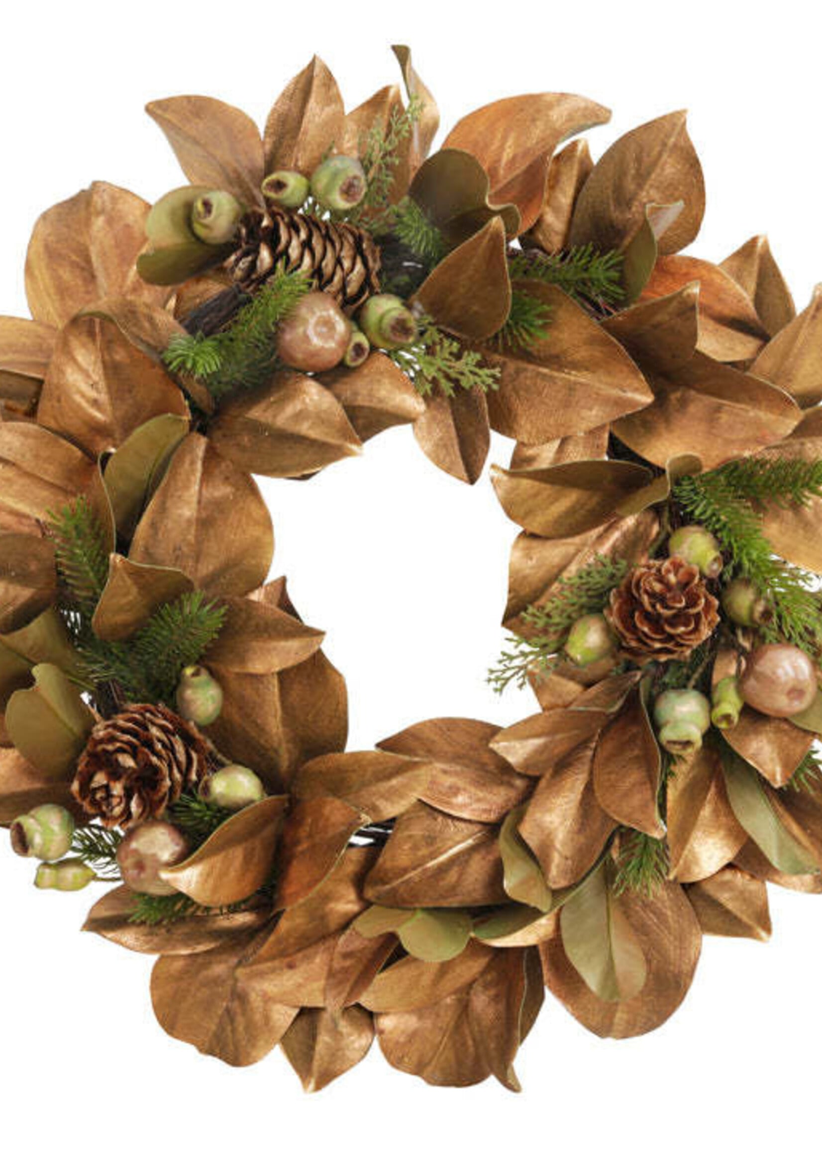 Winward MAGNOLIA LEAF/HYDRANGEA WREATH 24'' GOLD & GREEN
