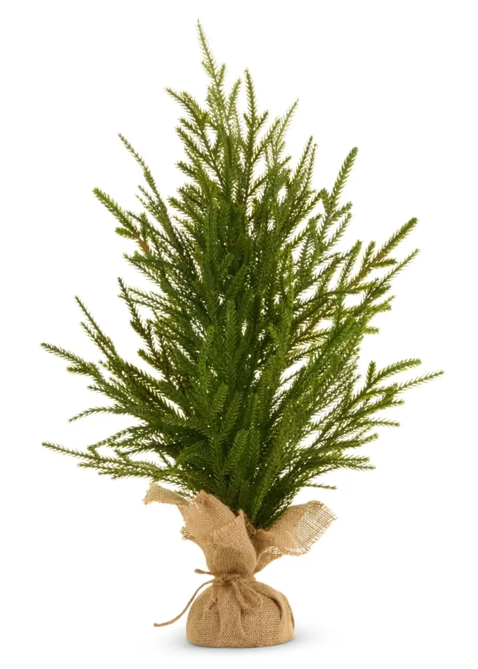 RAZ Imports 24" Potted Norfolk Pine Tree