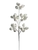 RAZ Imports RAZ - 21" Iced White Berry Pod Spray - F4606670