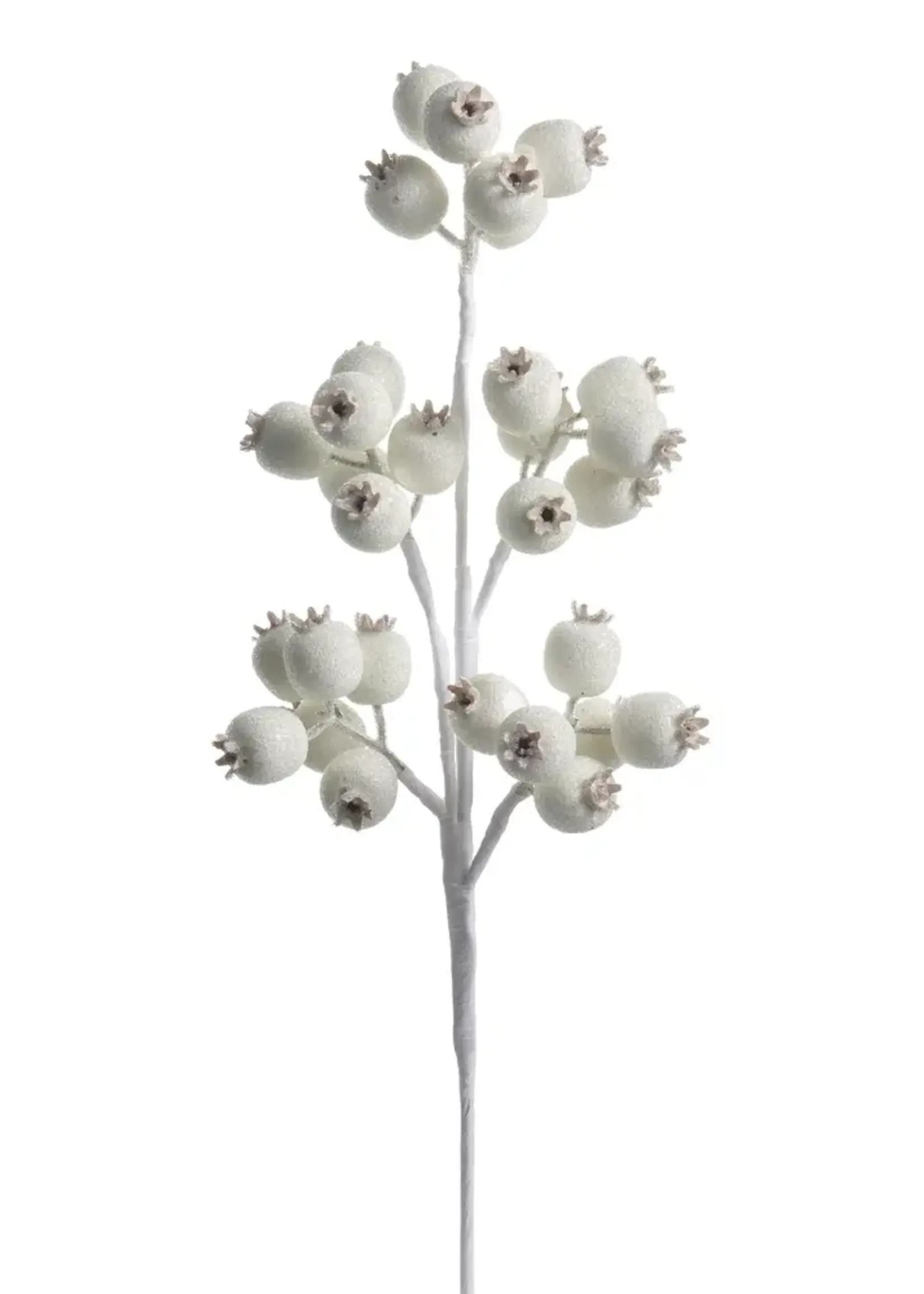 RAZ Imports 21" Iced White Berry Pod Spray