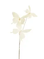 RAZ Imports RAZ - 25" White Butterfly Spray - F4622790
