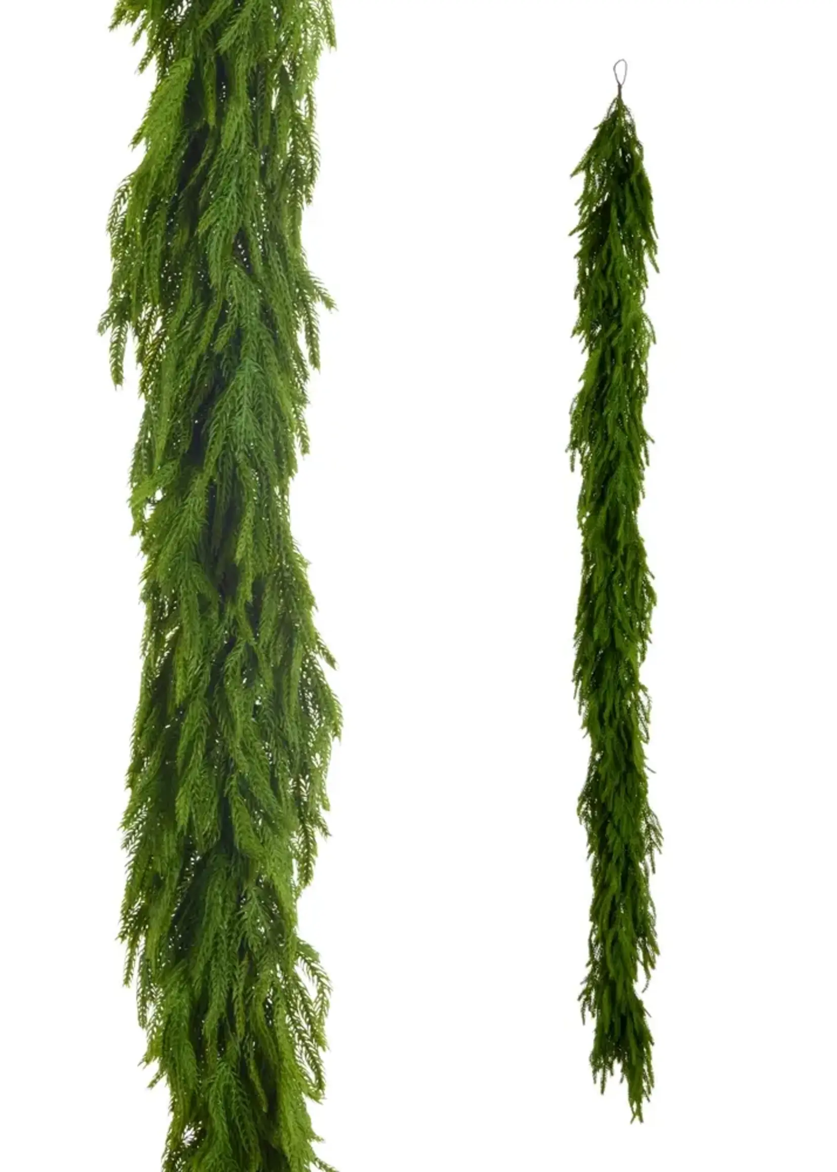 RAZ Imports 6.5' Real Touch Norfolk Pine Garland