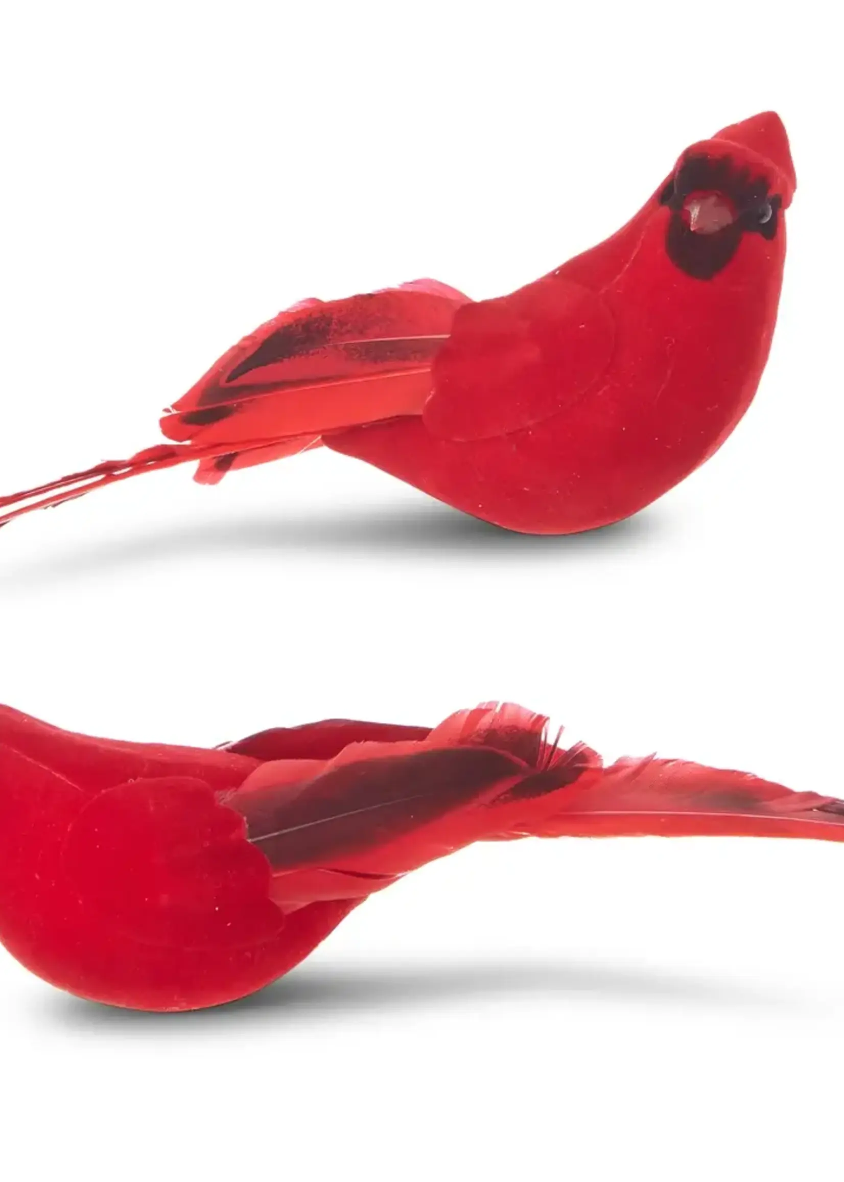 RAZ Imports 7" Clip-On Cardinal Ornament