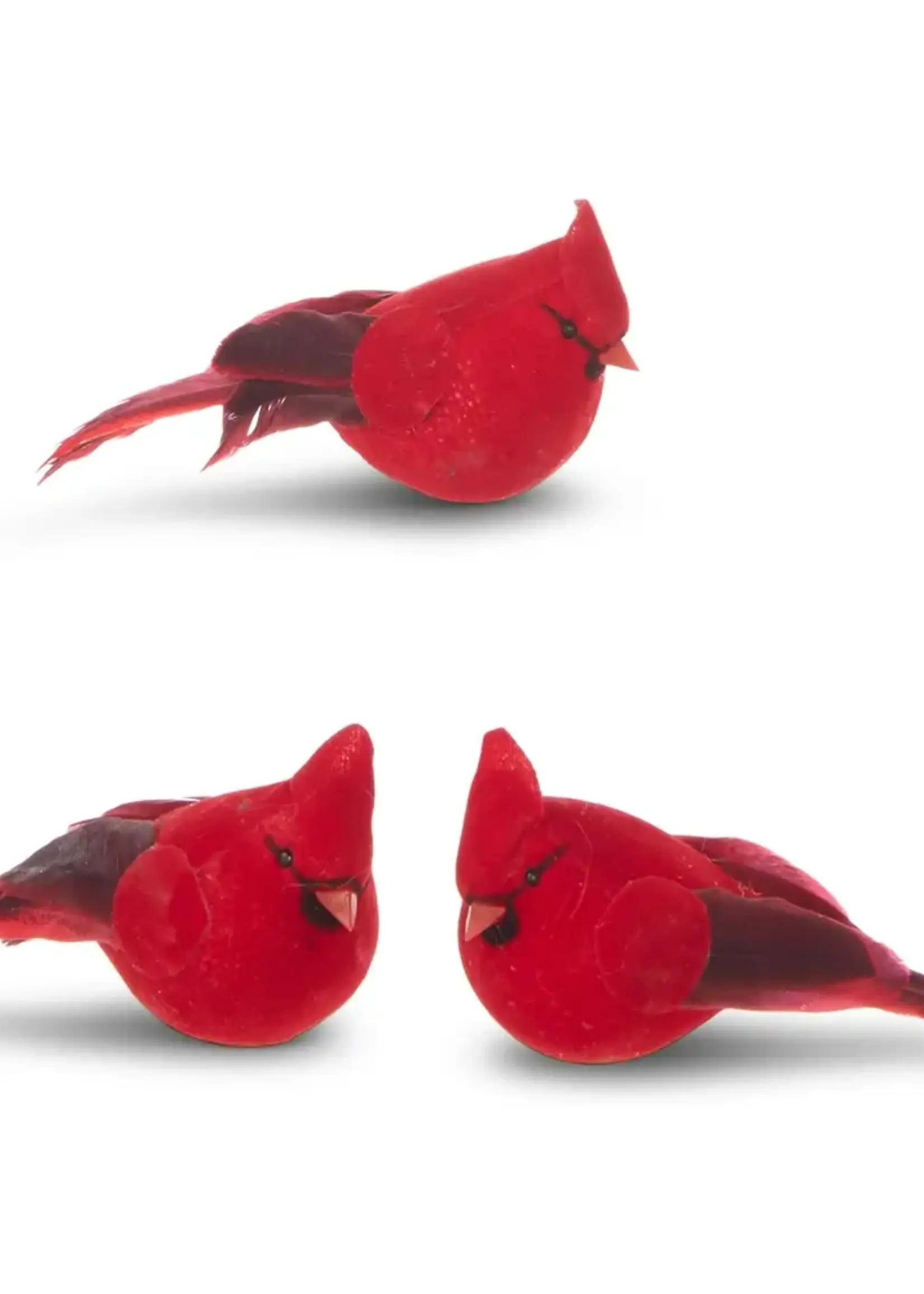 RAZ Imports 4.5" Clip-On Cardinal Ornament