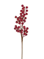 RAZ Imports RAZ Imports - 25" Sugared Berry Spray - F4602590